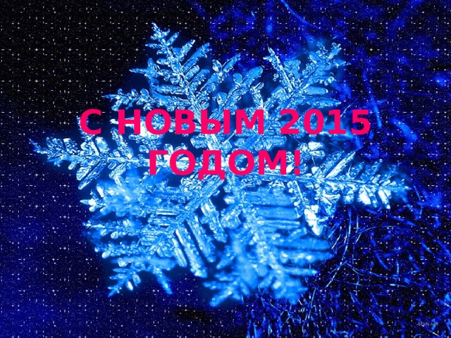 С НОВЫМ 2015 ГОДОМ!