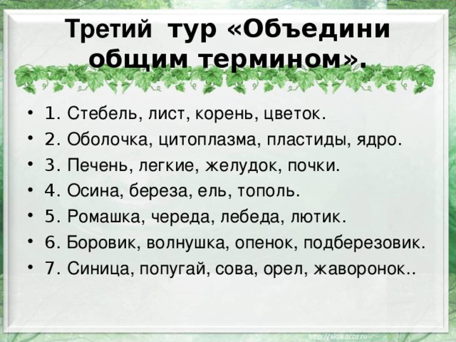 Третий тур «Объедини общим термином».