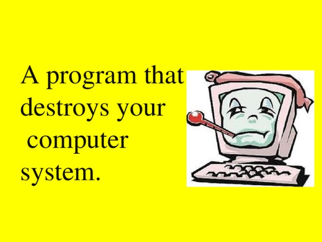 A program that  destroys your  computer  system.