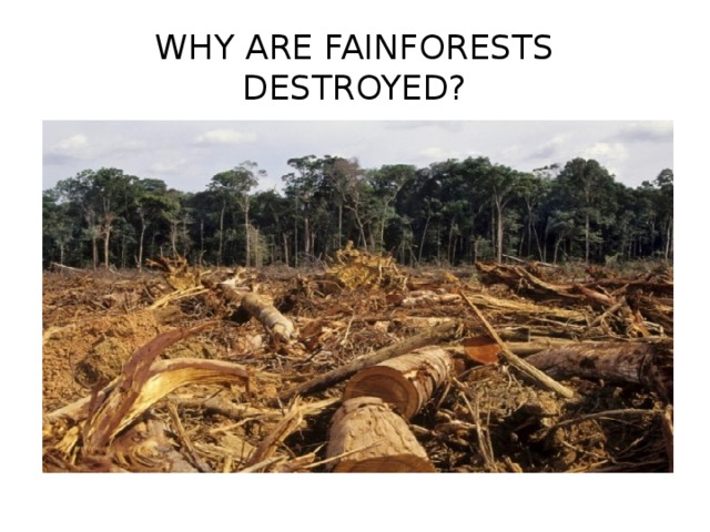 WHY ARE FAINFORESTS DESTROYED?