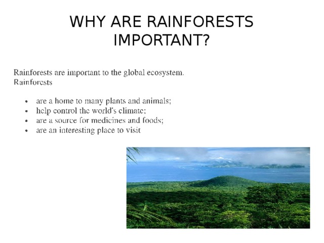 WHY ARE RAINFORESTS IMPORTANT?