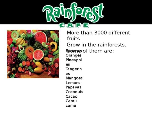 More than 3000 different fruits Grow in the rainforests. Some of them are: Bananas Oranges Pineapples Tangerines Mangoes Lemons Papayas Coconuts Cacao Camu camu