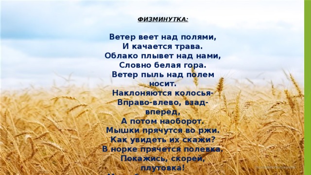 ФИЗМИНУТКА:  Ветер веет над полями,  И качается трава.  Облако плывет над нами,  Словно белая гора.  Ветер пыль над полем носит.  Наклоняются колосья-  Вправо-влево, взад-вперед,  А потом наоборот.  Мышки прячутся во ржи.  Как увидеть их скажи?  В норке прячется полевка.  Покажись, скорей, плутовка!  Мы взбираемся на холм,  И немного отдохнем.