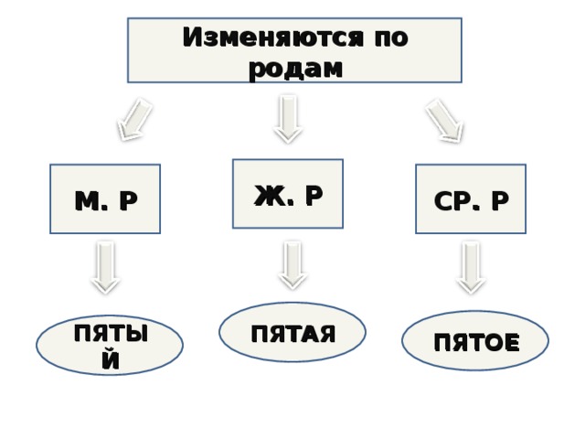 Изменяются по родам Ж. Р СР. Р М. Р ПЯТАЯ ПЯТОЕ ПЯТЫЙ