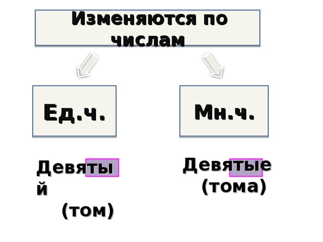 Изменяются по числам Ед.ч. Мн.ч. Девятые  (тома) Девятый  (том)