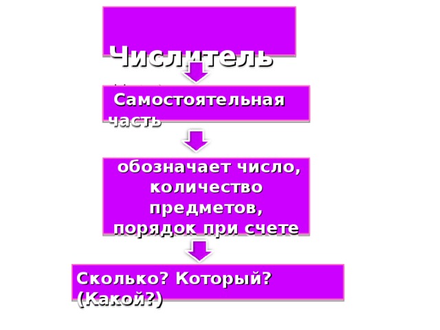 Числительное  Самостоятельная  часть  обозначает число, количество предметов, порядок при счете Сколько? Который? (Какой?)