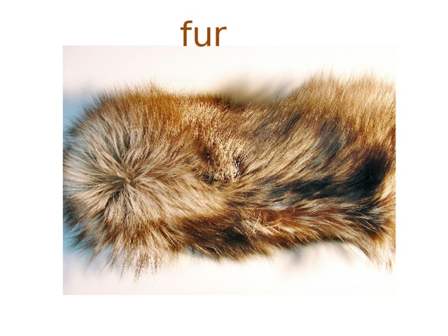 fur