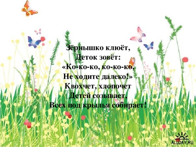 Зёрнышко клюёт,  Деток зовёт:  «Ко-ко-ко, ко-ко-ко,  Не ходите далеко!»  Квохчет, хлопочет  Детей созывает,  Всех под крылья собирает!