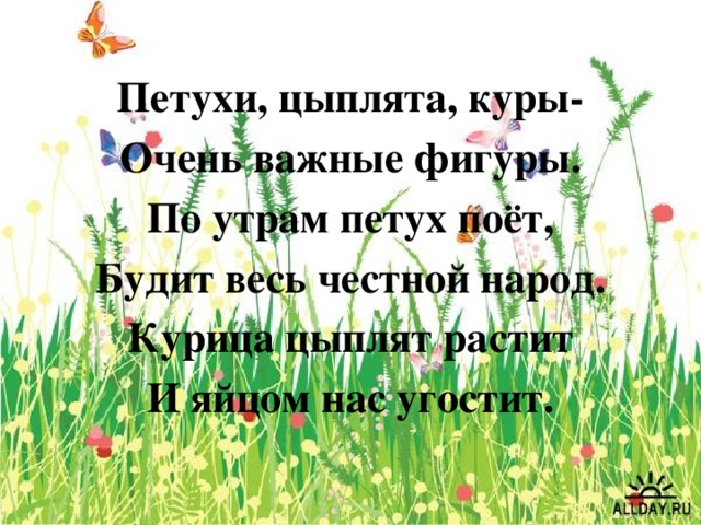 Петухи, цыплята, куры- Очень важные фигуры. По утрам петух поёт, Будит весь честной народ. Курица цыплят растит И яйцом нас угостит.