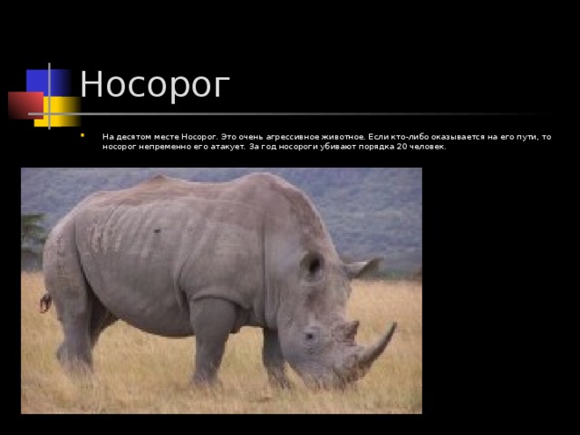 На десятом месте Носорог. Это очень агрессивное животное. Если кто-либо оказывается на его пути, то носорог непременно его атакует. За год носороги убивают порядка 20 человек.