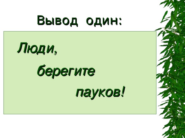 Вывод один:  Люди,  берегите  пауков!