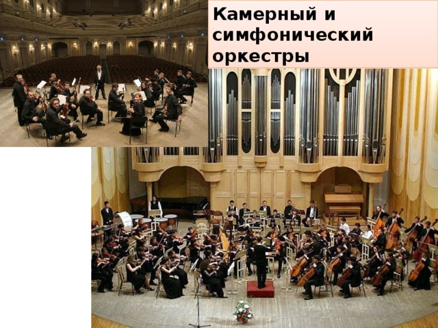 Камерный и симфонический оркестры