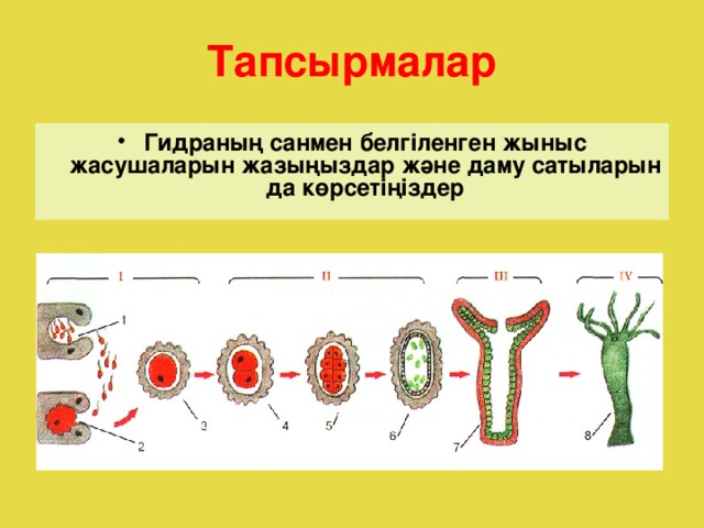 Тапсырмалар