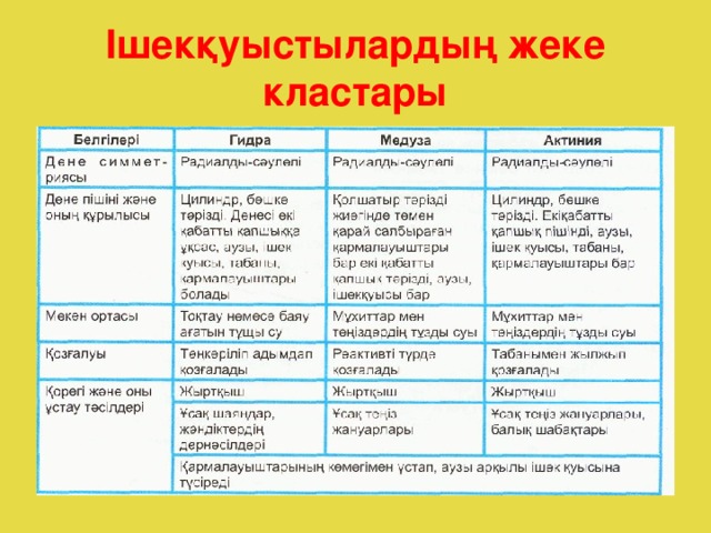 Ішекқуыстылардың жеке кластары