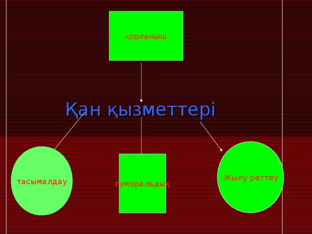 қорғаныш Қан  қызметтері Жылу реттеу тасымалдау гуморальдық