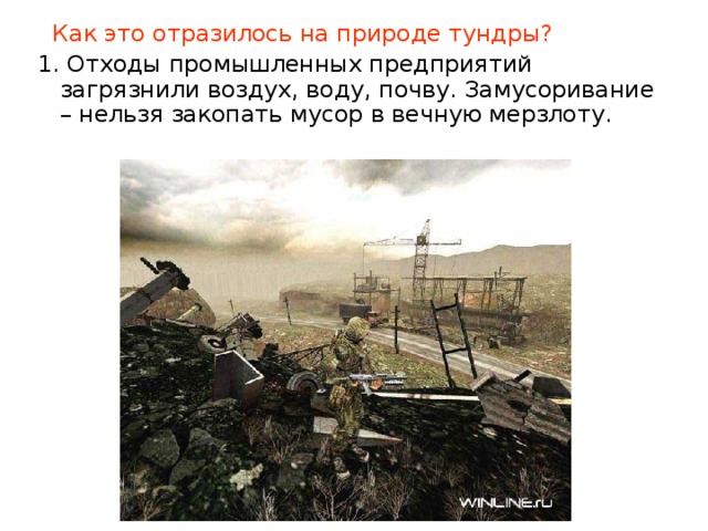 Как это отразилось на природе тундры? 1. Отходы промышленных предприятий загрязнили воздух, воду, почву. Замусоривание – нельзя закопать мусор в вечную мерзлоту.