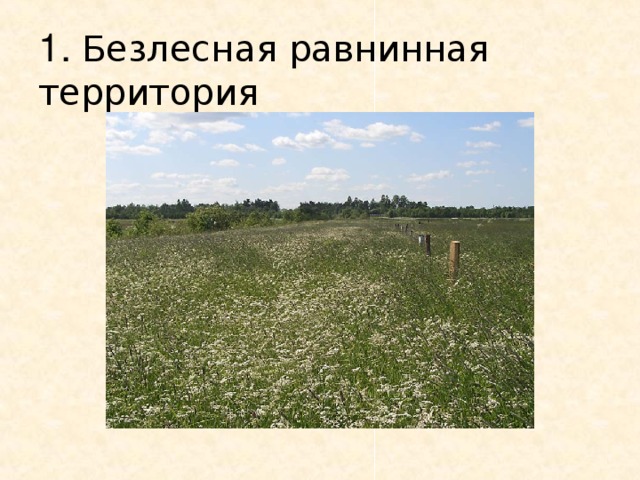 Безлесная равнинная территория