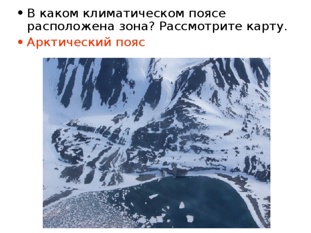 В каком климатическом поясе расположена зона? Рассмотрите карту. Арктический пояс