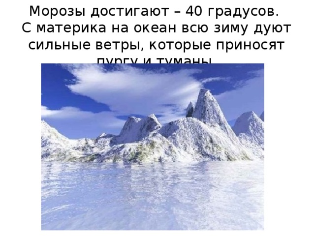 Морозы достигают – 40 градусов.  С материка на океан всю зиму дуют сильные ветры, которые приносят пургу и туманы.