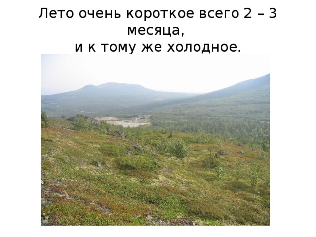 Лето очень короткое всего 2 – 3 месяца,  и к тому же холодное.