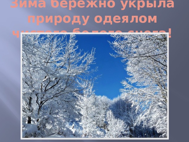 Зима бережно укрыла природу одеялом чистого белого снега!