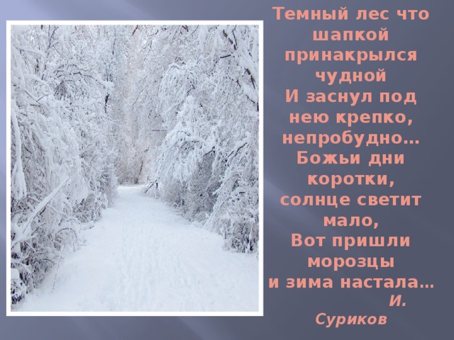 Зимний лес стихи. Вот пришли морозцы и зима настала. Зима в лесу стих. Темный лес что шапкой Принакрылся чудной и заснул. Стихотворение лес зимой.