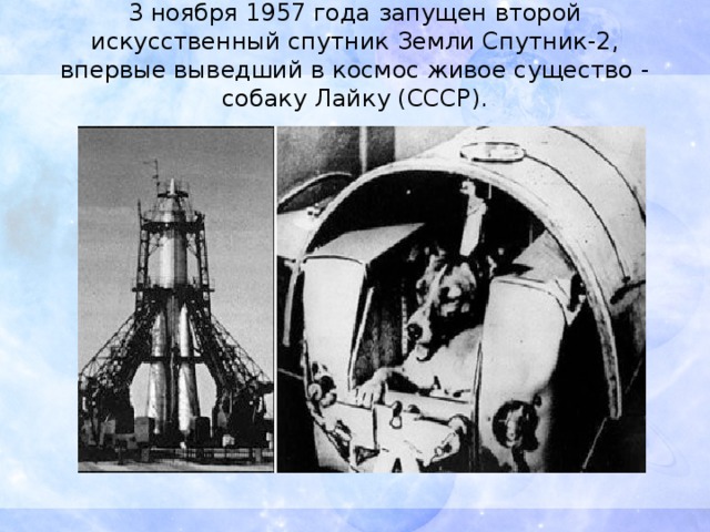 3 ноября 1957 года запущен второй искусственный спутник Земли Спутник-2, впервые выведший в космос живое существо - собаку Лайку (СССР).