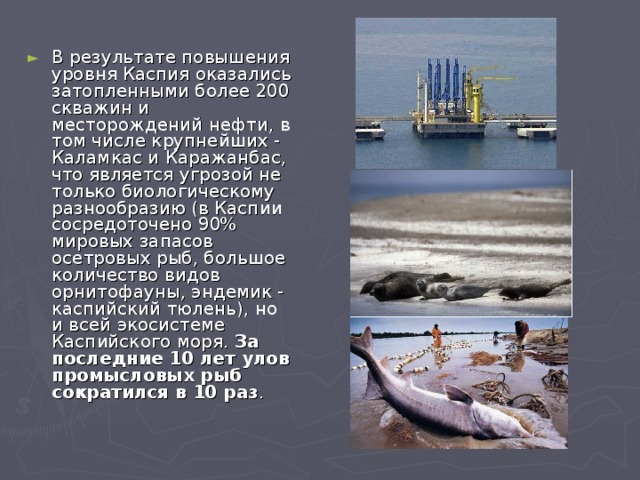 В результате повышения уровня Каспия оказались затопленными более 200 скважин и месторождений нефти, в том числе крупнейших - Каламкас и Каражанбас, что является угрозой не только биологическому разнообразию (в Каспии сосредоточено 90% мировых запасов осетровых рыб, большое количество видов орнитофауны, эндемик - каспийский тюлень), но и всей экосистеме Каспийского моря.  За последние 10 лет улов промысловых рыб сократился в 10 раз .