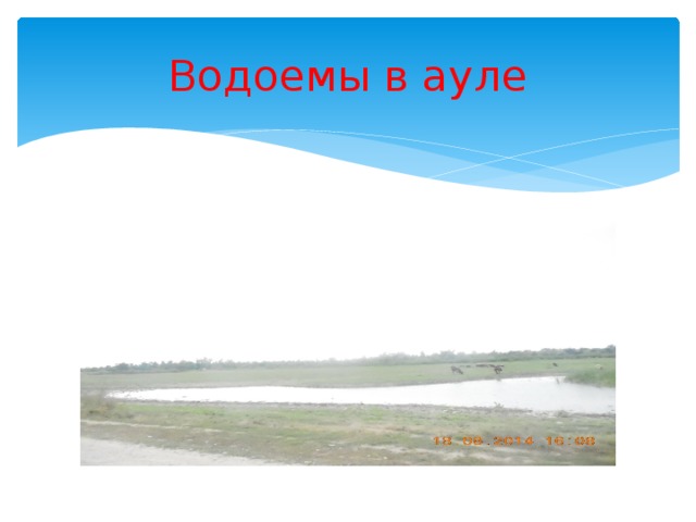 Водоемы в ауле