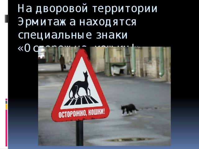На дворовой территории Эрмитажа находятся специальные знаки «Осторожно, кошки!».
