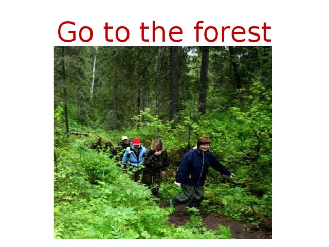 Go to the forest