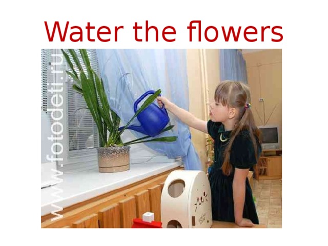 Water the flowers