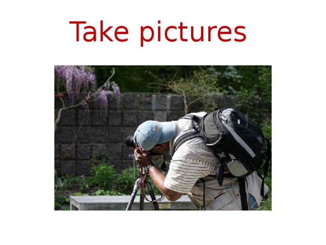 Take pictures