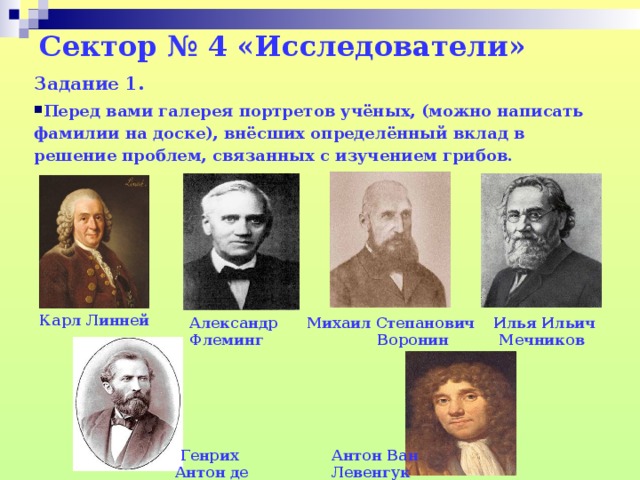 Сектор № 4 «Исследователи»   Задание 1. Перед вами галерея портретов учёных, (можно написать фамилии на доске), внёсших определённый вклад в решение проблем, связанных с изучением грибов.  Карл Линней Александр Флеминг Михаил Степанович Воронин Илья Ильич Мечников Генрих  Антон де Бари Антон Ван Левенгук