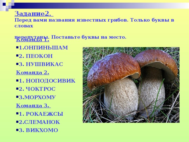 Задание2.  Перед вами названия известных грибов. Только буквы в словах   перепутаны. Поставьте буквы на место.   Команда 1. 1.ОНПИНЬШАМ 2. ПЕОКОН 3. НУШВИКАС Команда 2. 1. НОПОДОСИВИК 2. ЧОКТРОС 3.МОРХОМУ Команда 3.  1. РОКАЕЖСЫ 2.СЛЕМАНОК 3. ВИКХОМО  