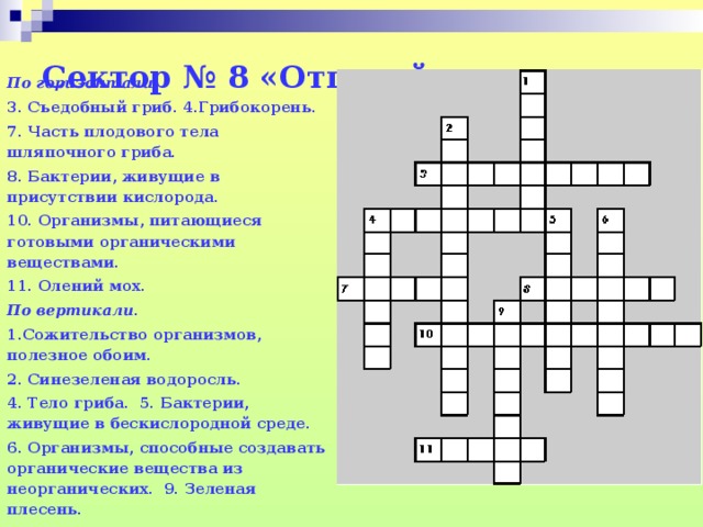 Сектор № 8 «Отгадай-ка»   По горизонтали . 3. Съедобный гриб. 4.Грибокорень. 7. Часть плодового тела шляпочного гриба. 8. Бактерии, живущие в присутствии кислорода. 10. Организмы, питающиеся готовыми органическими веществами. 11. Олений мох. По вертикали .  1.Сожительство организмов, полезное обоим.   2. Синезеленая водоросль.   4. Тело гриба.  5. Бактерии, живущие в бескислородной среде.   6. Организмы, способные создавать органические вещества из неорганических.  9. Зеленая плесень.