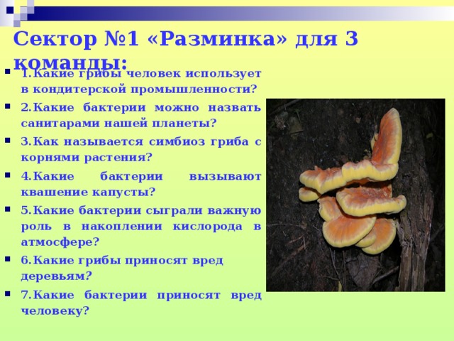 Почему грибы употребляют в пищу. Болезни вызываемые грибами. Симбиоз гриба и бактерии. Какие бактерии санитары планеты. Грибы санитары планеты.