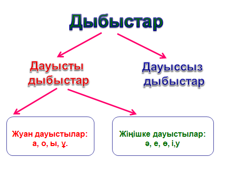 Жуан және жіңішке дауыстылар 1 сынып