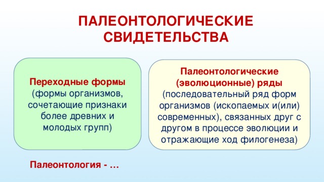 ПАЛЕОНТОЛОГИЧЕСКИЕ СВИДЕТЕЛЬСТВА Переходные формы  (формы организмов, сочетающие признаки более древних и молодых групп) Палеонтологические (эволюционные) ряды  (последовательный ряд форм организмов (ископаемых и(или) современных), связанных друг с другом в процессе эволюции и отражающие ход филогенеза) Палеонтология - …