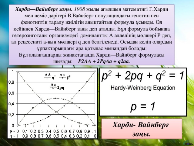 Харди—Вайнберг заңы.  1908 жылы ағылшын математигі Г.Харди мен неміс дәрігері В.Вайнберг популяциядағы генотип пен фенотиптің таралу жиілігін анықтайтын формула ұсынды. Ол кейіннен Харди—Вайнберг заңы деп аталды. Бұл формула бойынша гетерозиготалы организмдегі доминантты А аллелінің мөлшері Р деп, ал рецессивті а-ның мөлшері q деп белгіленеді. Осыдан келіп олардың ұрпақтарындағы ара қатынас мынандай болады: Бұл алынғандарды жинақтағанда Харди—Вайнберг формуласы шығады: Р2АА + 2РqАа + q2аа. Харди- Вайнберг заңы.