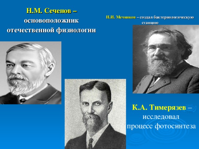 Н.М. Сеченов – основоположник отечественной физиологии Н.И. Мечников – создал бактериологическую станцию К.А. Тимерязев – исследовал процесс фотосинтеза