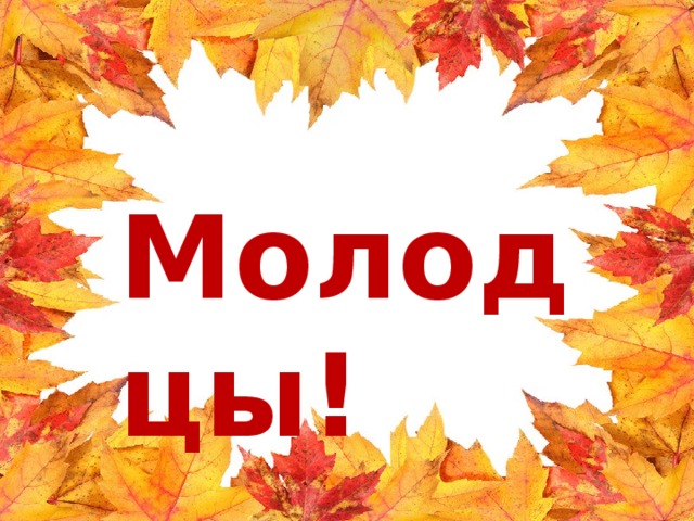 Молодцы!