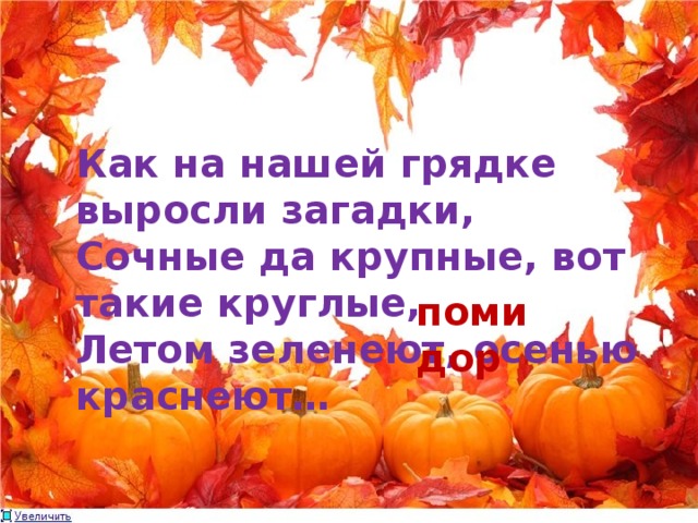 Как на нашей грядке выросли загадки, Сочные да крупные, вот такие круглые, Летом зеленеют, осенью краснеют… помидор