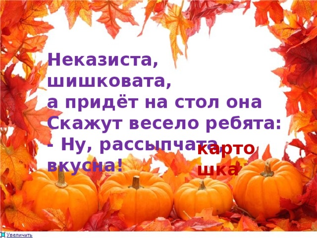 Неказиста, шишковата, а придёт на стол она Скажут весело ребята: - Ну, рассыпчата, вкусна! картошка