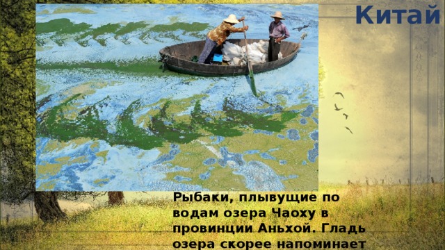 Китай Рыбаки, плывущие по водам озера Чаоху в провинции Аньхой. Гладь озера скорее напоминает палитру художника, чем водный объект.