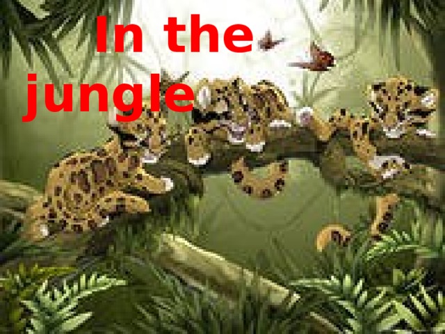 In the jungle .