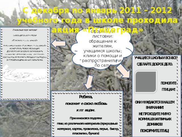 С декабря по январь 2011 – 2012 учебного года в школе проходила акция «Птицеград» Учащиеся оформляли листовки: обращение к жителям, учащимся школы; клики о помощи и распространили их по селу