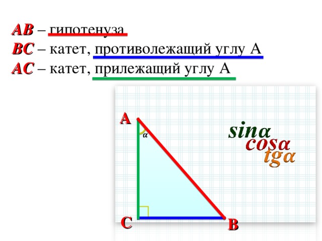 AB – гипотенуза BC – катет, противолежащий углу A AC  – катет, прилежащий углу A A C B