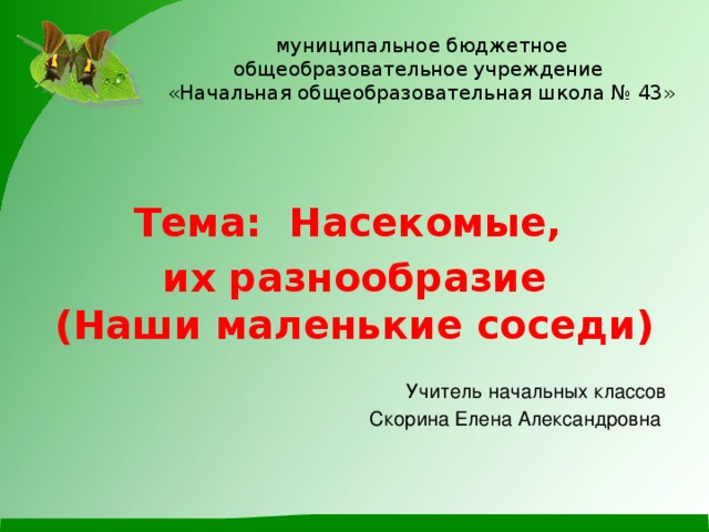 муниципальное бюджетное общеобразовательное учреждение  «Начальная общеобразовательная школа № 43» Тема: Насекомые, их разнообразие  (Наши маленькие соседи) Учитель начальных классов Скорина Елена Александровна