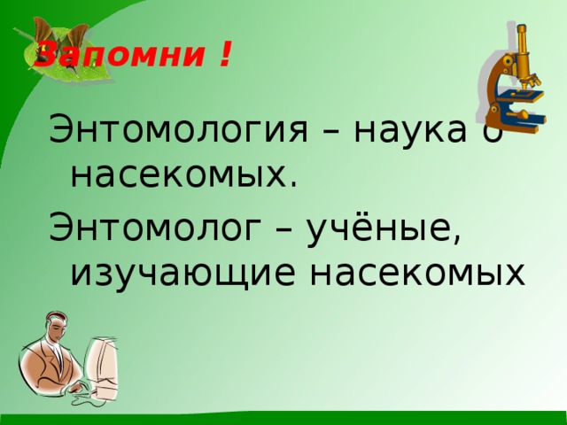 Запомни ! Энтомология – наука о насекомых. Энтомолог – учёные, изучающие насекомых .